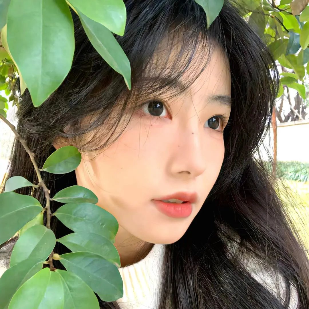 狼的诱惑